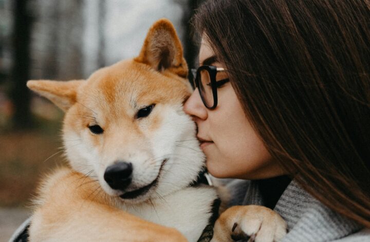 Erreurs maître chien anxieux, les erreurs courantes à éviter